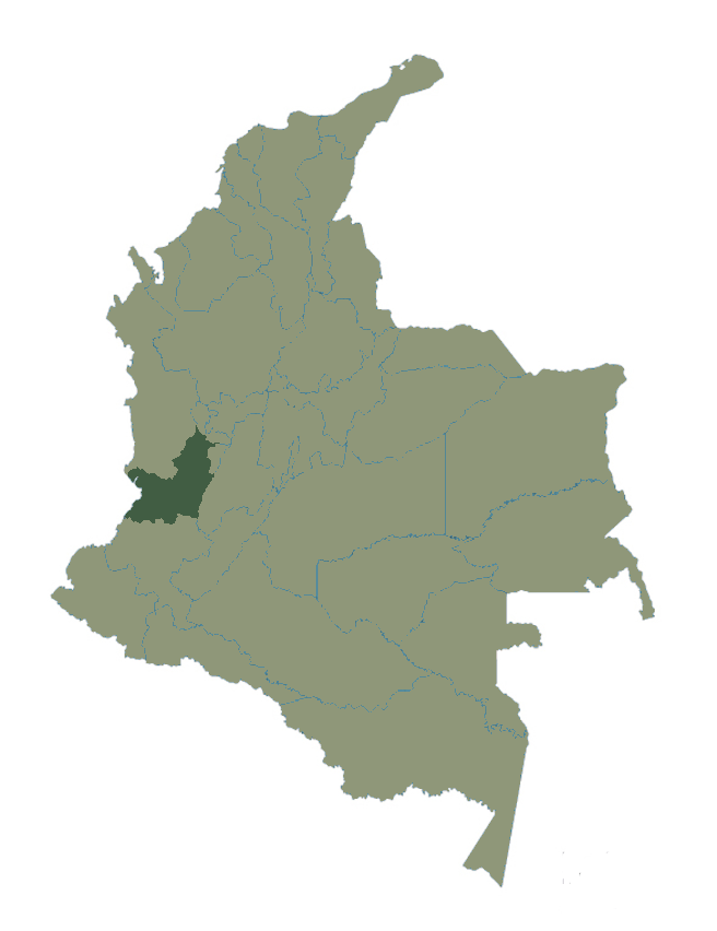 COLOMBIAN DECAF COFFEE