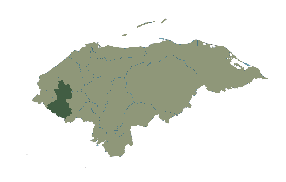 HONDURAS ORGANIC COFFEE