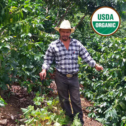 HONDURAS ORGANIC COFFEE